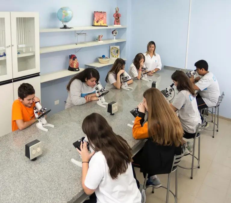 Banco de Imagens para escolas — foto 28