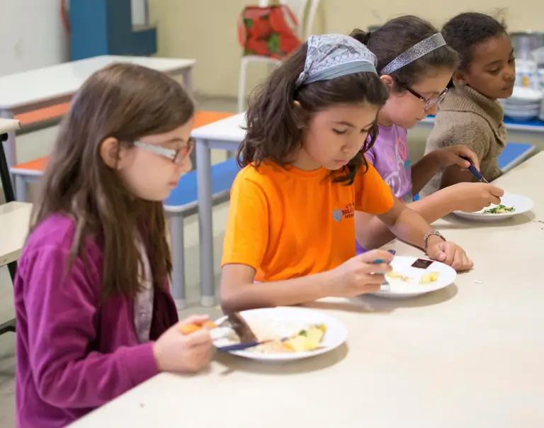 Banco de Imagens para escolas — foto 25