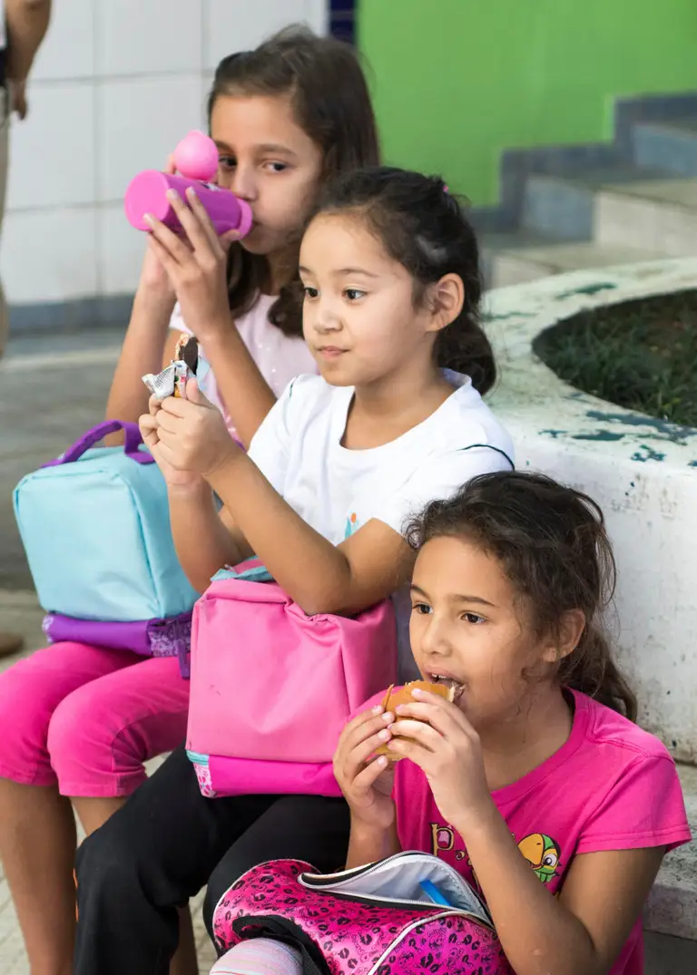 Banco de Imagens para escolas — foto 51